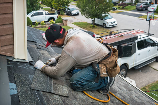 Professional Flat Roof Repair technician working in Danube, MN